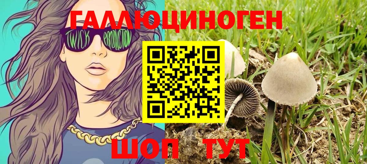 Галлюциногенные грибы GOLDEN TEACHER Великий Устюг